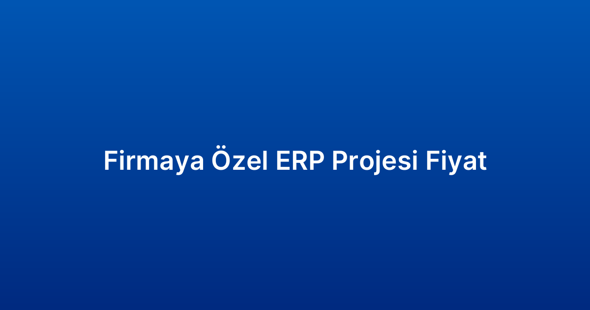 Firmaya Özel ERP Projesi Fiyat