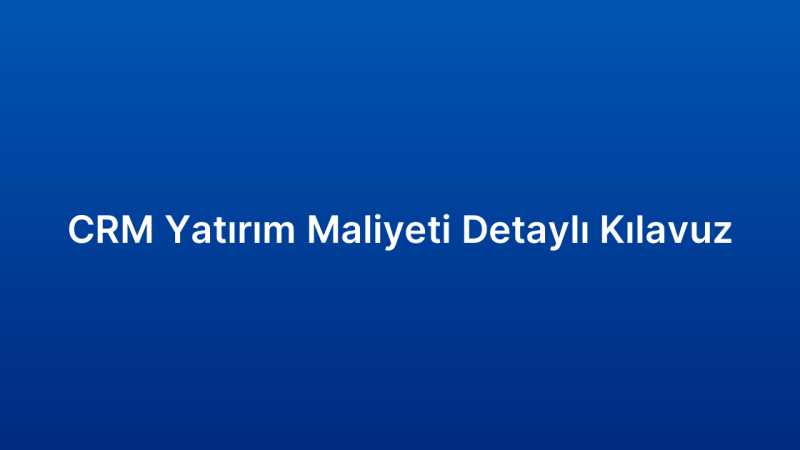 CRM Yatırım Maliyeti Detaylı Kılavuz