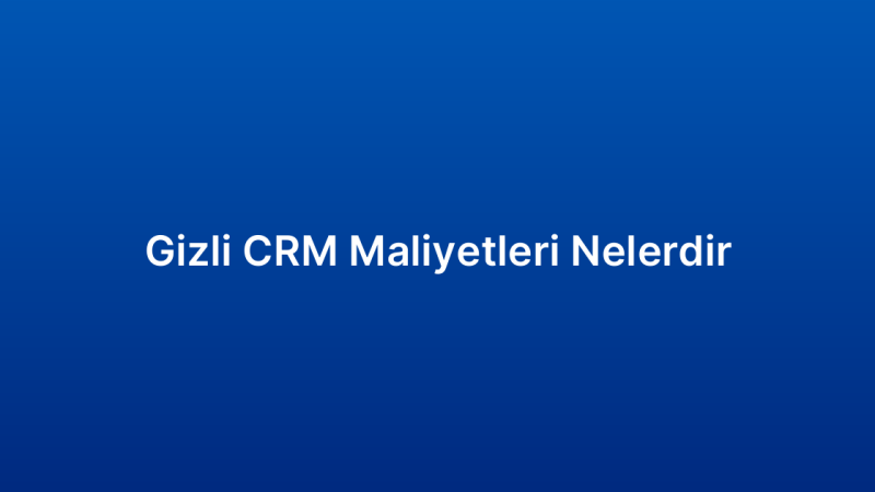 Gizli CRM Maliyetleri Nelerdir