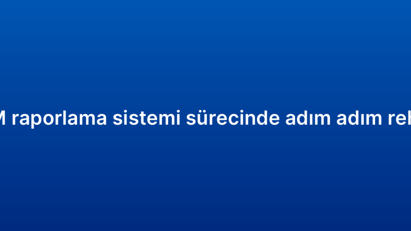 CRM raporlama sistemi sürecinde adım adım rehber